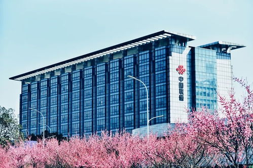 一年投資兩個億的大項目,和你們都有關