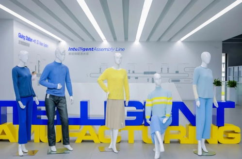 從創新到落地 寧波大企業創投聯盟助力企業網站建設新跨越